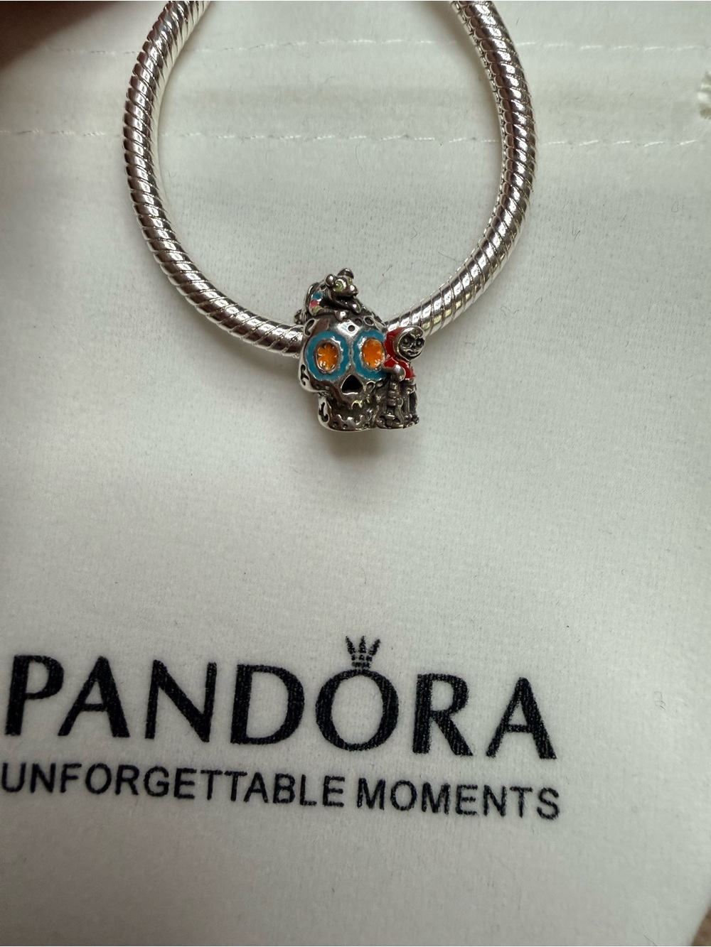Disney Pixar Coco Miguel & Dante Skull Glow-in-the-dark Charm